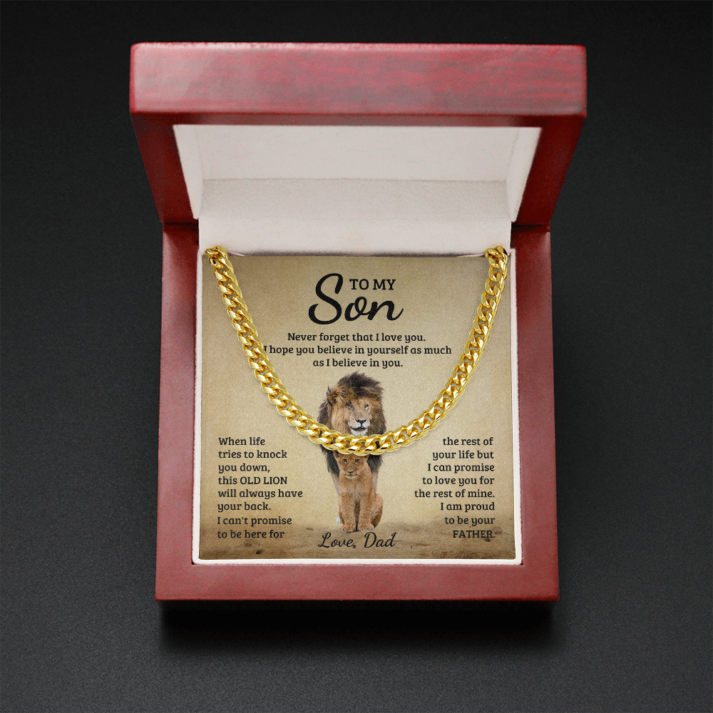 Son - Promise