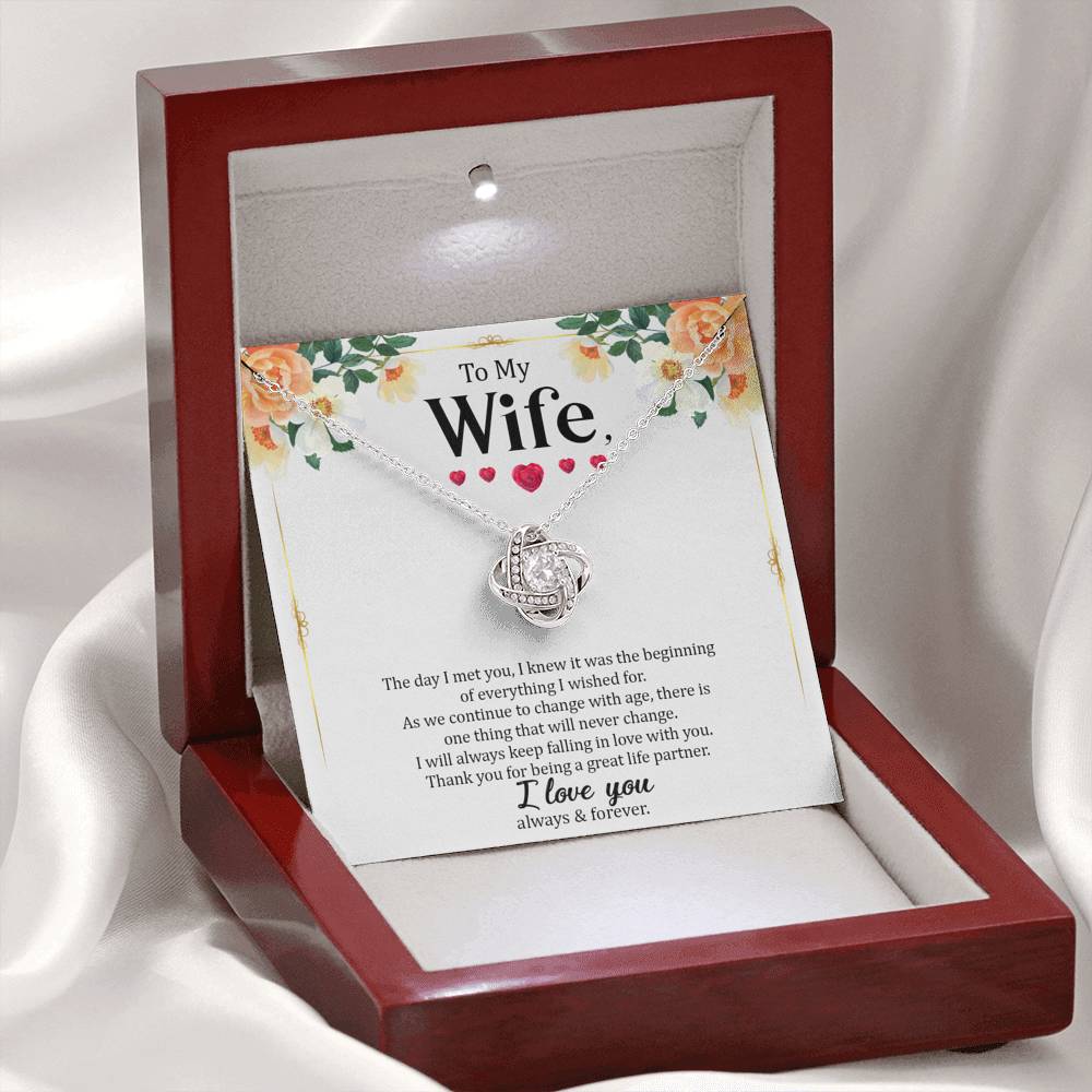 Wife - The Day I Met You